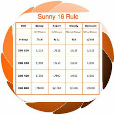 Nikon Newbie Sunny 16 Cheat Sheet