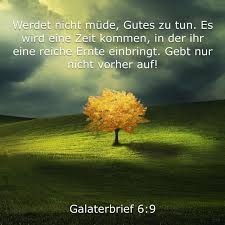 Der artikel wird gebraucht, wenn „galatien in einer bestimmten qualität, zu einem bestimmten zeitpunkt oder zeitabschnitt als subjekt oder objekt im satz steht. Pin Von Sofia Auf Fotografie Weisheiten Spruche Bibelverse Lebensweisheiten Spruche