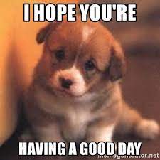 Check spelling or type a new query. I Hope You Re Having A Good Day Cute Puppy Meme Generator