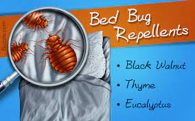 What Can I Put On My Body To Prevent Bed Bug Bites Bed Bug Repellent For Skin