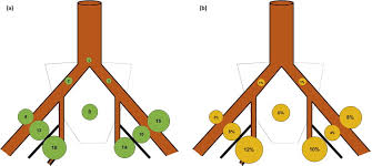 They should perhaps have said t1n0m0. Mapping Of Pelvic Lymph Node Metastases In Prostate Cancer European Urology