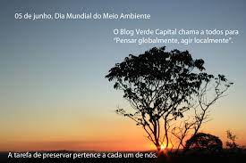No ano seguinte, gisele plantou mais de 50.000 árvores no parque municipal de grumari. Frases Sobre Meio Ambiente Verde Capital Org