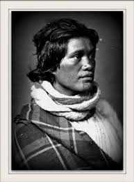 Able Tasman and New Zealand First Reference