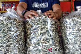 Ingin membeli ikan di pasar modern yang lebih nyaman dan tertata? Tidak Disangka Pedagang Ikan Bilih Raih Omset Segini Tiap Hari Antara Sumbar