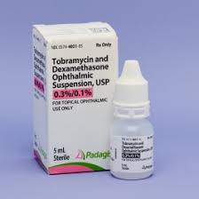 Image result for Tobramycin