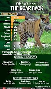 why we need the roar back tiger facts wild tiger save