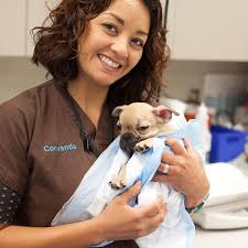Rabies shots for your cat and dog are required by law in all states. 1st Pet Veterinary Centers Phoenix Az
