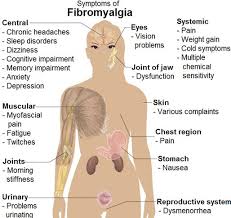 overview fibromyalgia or chronic fatigue and vitamin d