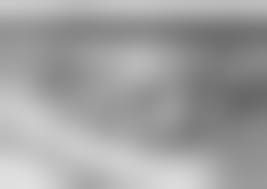 Battle of Nasiriyeh - WORLD WAR I