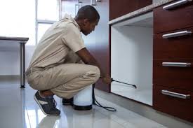 Leading home and commercial termite and pest control in st. Pest Control In Kingston Upon Thames Kt1 Call Now 020 8166 9746