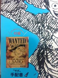 Луффи и сабо , а также сыном короля пиратов. One Piece Kopfgeld Von Sabo Endlich Enthullt Phanimenal