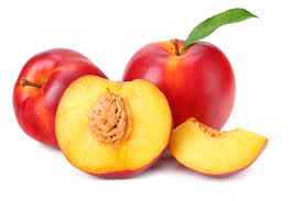 A couple small slices are more than sufficient as a treat, and reduce the risk that your dog will have any stomach troubles in response to the fruit. Can Dogs Eat Nectarines 4 Best Health Benefits Hazards Revealed