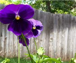 We did not find results for: Renee Marie Reneer333 Twitter