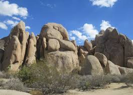 Maybe you would like to learn more about one of these? Jumbo Rocks Campground Joshua Tree National Park Ca Foto Van Jumbo Rocks Campground Joshua Tree National Park Tripadvisor
