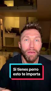 Cómo ayudar a perros con ansiedad y comportamiento incontrolable