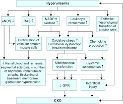 Image result for Hyperuricemia
