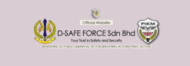 493 likes · 6 talking about this. D Safe Force