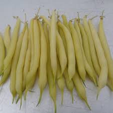 Comparatif 2017 Haricots Nains Jardin D Essai