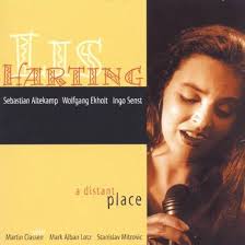 A Distant Place: Amazon.de: CDs & Vinyl