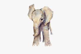 We did not find results for: Clip Art Showcasing Some Surfer Style Baby Animals Watercolor Png Transparent Png Transparent Png Image Pngitem