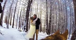 We did not find results for: Couple Lets Their Dog Film Their Wedding And The Result Is Better Than Most Wedding Videos Bored Panda