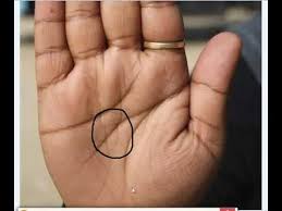 Fish Sign In The Middle Of Hand Rajiv The Healer In 2020 Palmistry Reading Palm Reading Palmistry