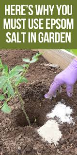 Pin By Lisa Phillips On Gardening Hacks