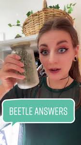 Reply to @allieisabadfishtoo some answers about drugstore beetles.  #insectpest #organicpestcontrol #infestation #herbalistproblems