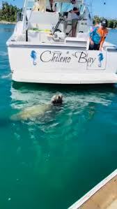 Amazing 😻 times indeed! Fishing 🎣 and Catamaran enjoying indeed! 💃 🕺 #loscabos #experiences #cabo #video #tours 🛥️ 🚢 🚤 🐠 🥃 | Jaso Experiences | Facebook