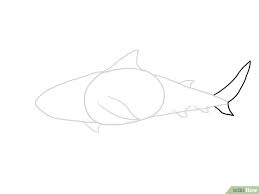 Vertebrata ini sangat beragam jenisnya, bahkan jumlah lebih dari 27.000 spesies di seluruh dunia. 47 Gambar Sketsa Hewan Ikan Hiu Terbaik Gambar Hewan