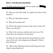 Maybe you would like to learn more about one of these? What Is The Role Of A Vacuole In A Plant Cell B Chegg Com