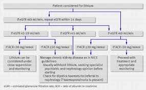 The recent guidance from the national institute for health and clinical excellence (nice) on early identification and management of chronic kidney disease mentions lithium as a nephrotoxin and emphasises active management of hypertension. Lithium And Chronic Kidney Disease The Bmj