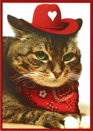 As we've seen in the past, cats tend to make viral history; Cat With Cowboy Hat Bandana Funny Valentines Day Card Ebay