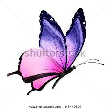 Black And Purple Butterfly Tattoo Butterfly Tattoo Love The Pink And Purple Butterfly Watercolor Purple Tattoos Butterfly Clip Art