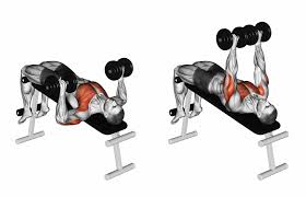 Image result for chest workout pics