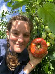 Board Members — Moon and Stars