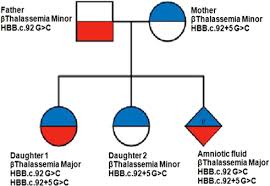 pedigree chart depicting the autosomal recessive inheritance