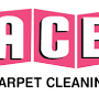 Ace Carpet Care from www.acecarpetcleaningco.com