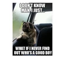 45 Funny Dog Memes Dogtime