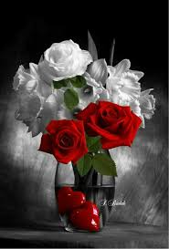 pin by olivia oprea on color s variety flower painting beautiful rose flowers beautiful flowers