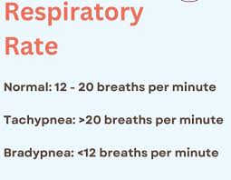 Image result for Respiratory Rate