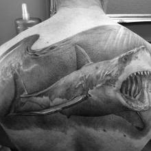 Just as you don't judge a book by its cover, these tattoos can make you adventure into the deep sea and discover the top 90 best shark tattoo designs for men. Big Tattoo Planet Great White Shark Big Tattoo Planet