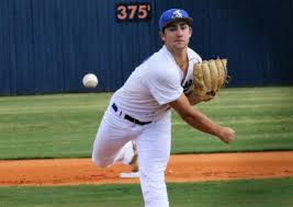 Baseball All-State honorees announced by TSWA — Tennessee Sports Writers  Association