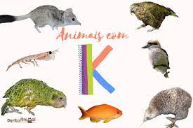 Animais Com K Nomes De Especies Em Portugues E Ingles