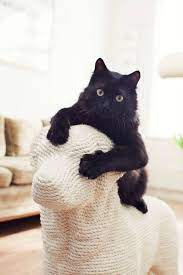 Dog Shaped Cat Scratching Post Cat Scratching Post Scratching Post Cat Scratching