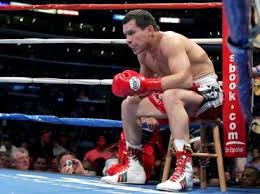 Born july 12, 1962), also known as julio césar chávez sr., is a mexican former professional boxer who competed from 1980 to 2005. Julio Cesar Chavez News Latest Fights Boxing Record Videos Photos