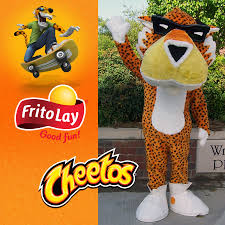 Design the mascot costume once you have a good concept, identity and marketing strategy, you need to get the mascot designed. Mascot Costume Gallery Cowan Costumes Creating Quality Mascot Costumes Since 1986