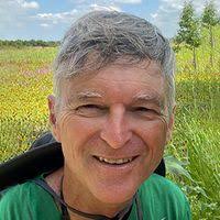 Control of Helicobacter Pylori with Engineered Probiotics Secreting  Selective Guided Antimicrobial Peptides