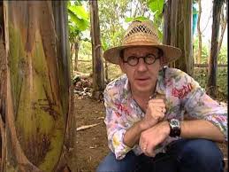 C Est Pas Sorcier Bananes Sorciers A Plein Regime Sorciere Banane Sorciers