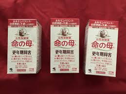 サンディエゴタウン クラシファイド 命の母a